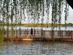 -尚湖风景区