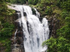 -海南热带雨林国家公园吊罗山景区