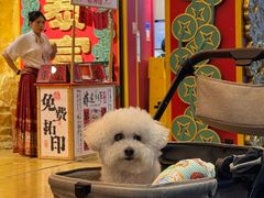 -长沙文和友(海信广场店)