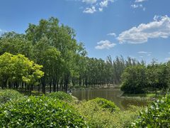 -东郊湿地公园