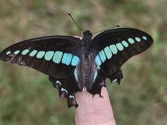 -狼山风景名胜区