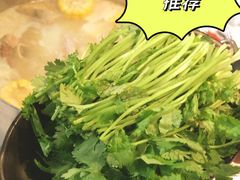 澳门胡椒猪骨煲-肥仔文澳门猪骨煲(南京西路店)