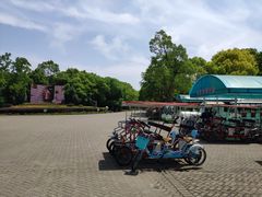 -上海海湾国家森林公园