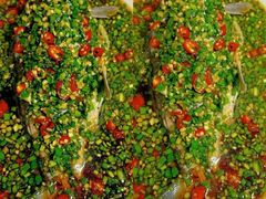 -休记光头香辣蟹干锅(绵竹店)