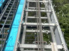 -鹿院坪生态旅游景区