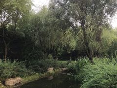 -杭州城北体育公园