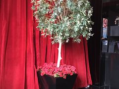 -Salon de The de Joel Robuchon(外滩18号店)