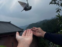 -綦江古剑山