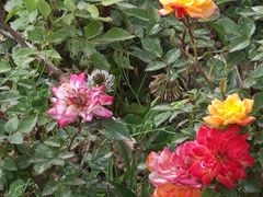 -汉长安城未央宫国家考古遗址公园