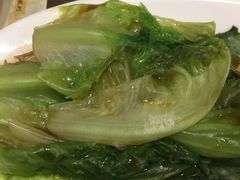 -成都泰迪熊博物馆
