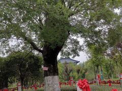 -董永七仙女文化园