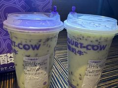 -一只酸奶牛(八一路店)