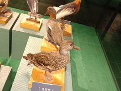 -温州博物馆