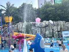 -武汉市青少年宫水上世界