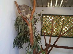 -费瑟代尔野生动物园