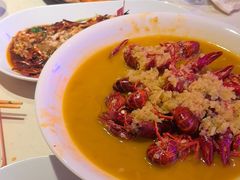 -杨氏青龙虾·羊蝎子(托乐嘉店)
