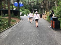 -梦幻奥陶纪景区