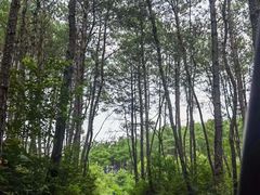 -Club Med地中海俱乐部·桂林度假村