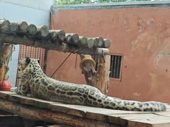 -青藏高原野生动物园