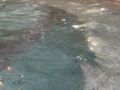 -融汇温泉