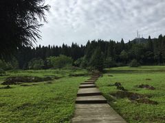 -武陵山森林公园
