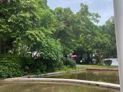 -深圳国际园林花卉博览园