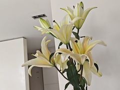 -卡罗酒店(东门晒布地铁站店)