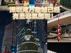 -深圳湾万象城(南山店)