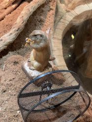 -Zoolung Zoolung动物主题公园(海信广场店)