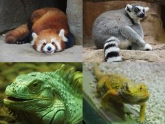 -北京野生动物园