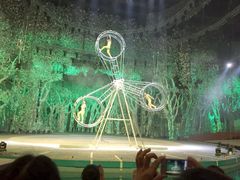 灵玲国际马戏城-灵玲国际马戏城