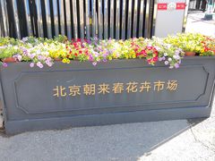 -朝来春花卉市场