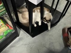 -零纪元VR体验馆·桌游(黄浦店)