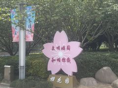 -高东镇樱花园