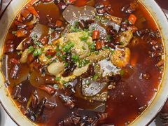 -雲蜀龙阁·金牌水煮鱼(方庄店)