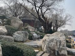 -中国唐苑