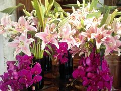 -马勒别墅·中餐厅