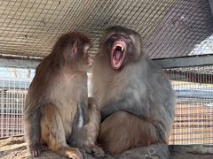 -北京市海淀外国语实验学校