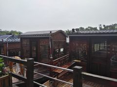 -大湾区中央湿地公园