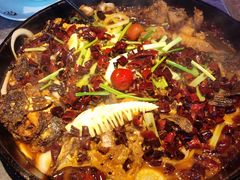 -老板恋上鱼(恒隆广场店)