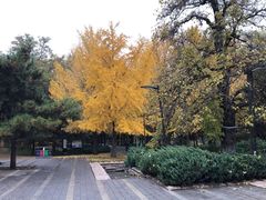 -元大都城垣遗址公园