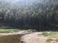 -永州阳明山国家森林公园