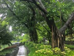 -晓港公园