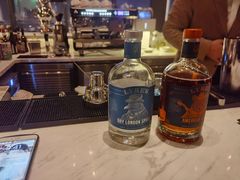 -大堂酒廊·富力丽思卡尔顿酒店