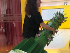 -卓美LAMDA戏剧演讲与培训中心(亚运村店)