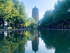 -玲珑塔公园