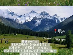 -新疆国际大巴扎