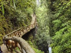 -鹿院坪生态旅游景区