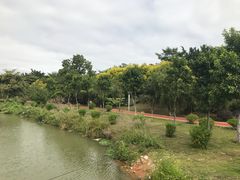 -鹤之洲湿地公园