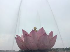 -白洋淀景区